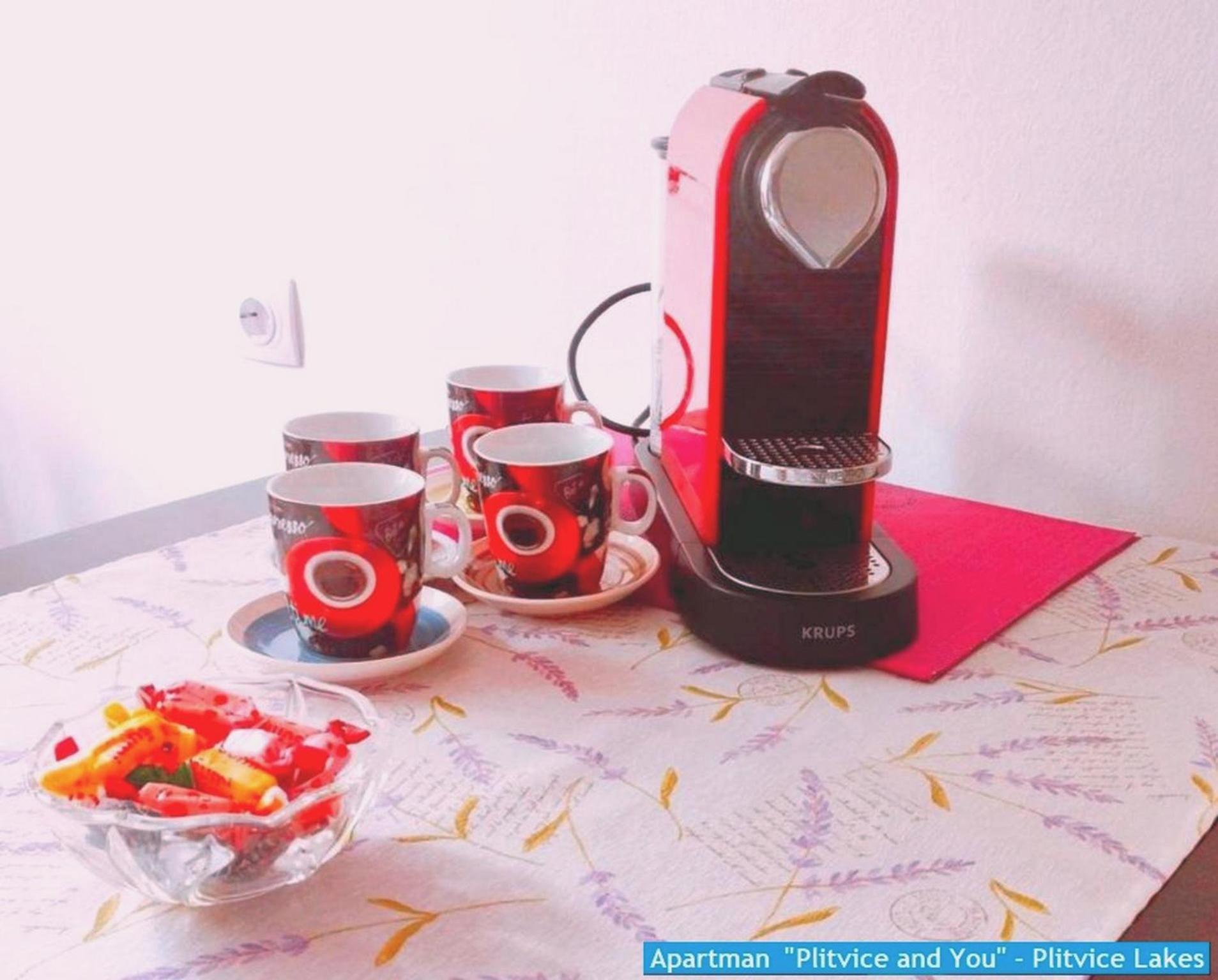 Apartman "Plitvice And You" Plitvička Jezera Екстериор снимка